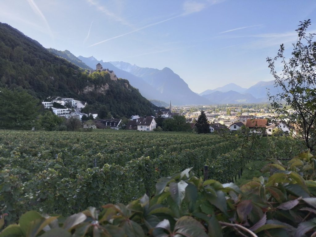 Vineyards in the capital of Vaduz